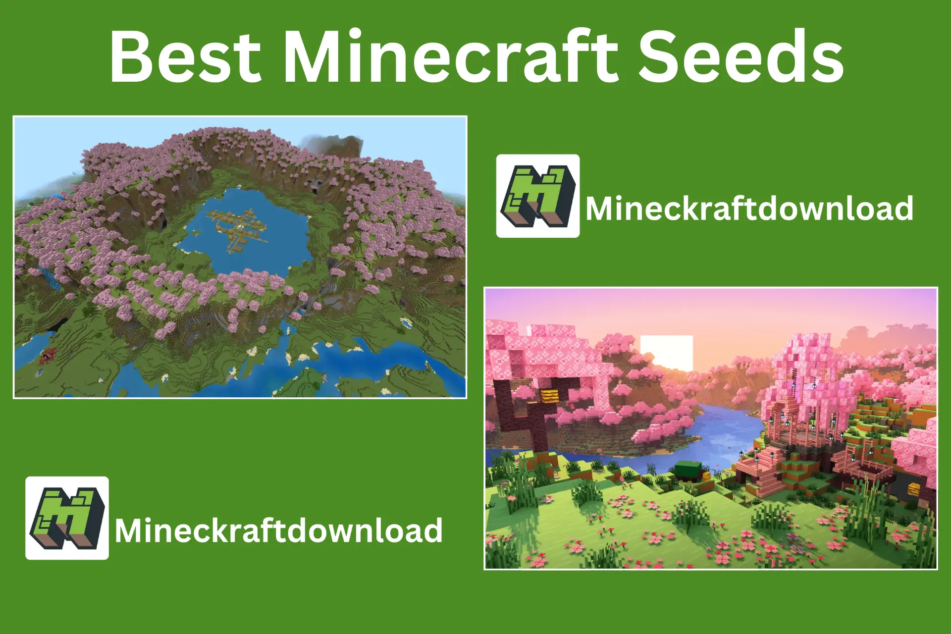 Best Minecraft Seeds
