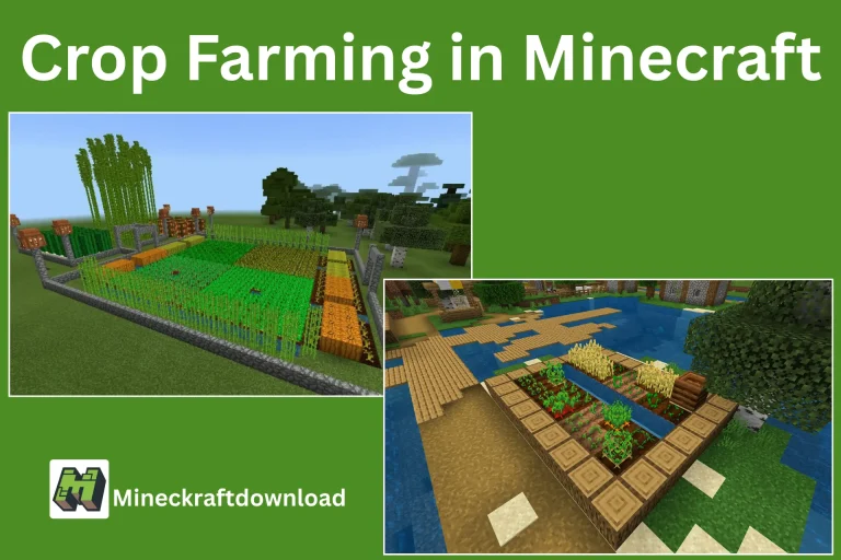 A Complete Guide to Crop Farming in Minecraft