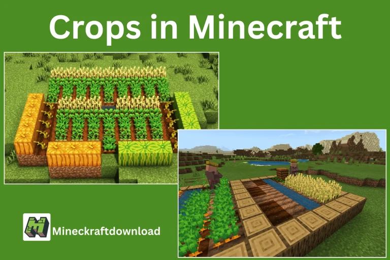 Crop Farming in Minecraft