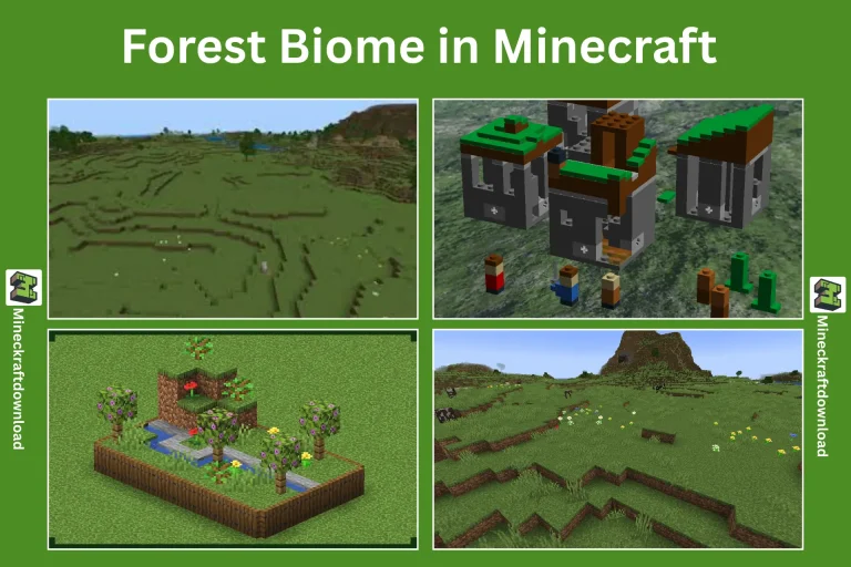 Forest best minecraft Biomes