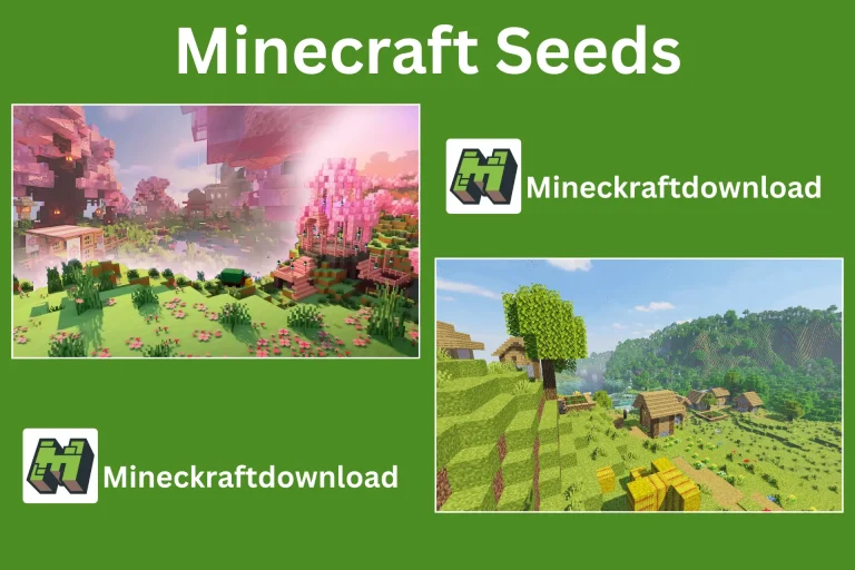 Minecraft Seeds