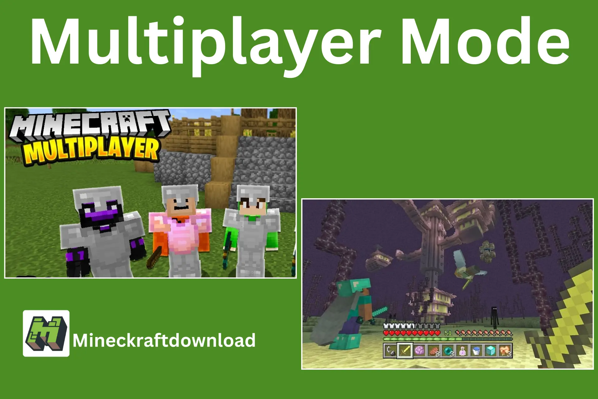 Multiplayer Mode