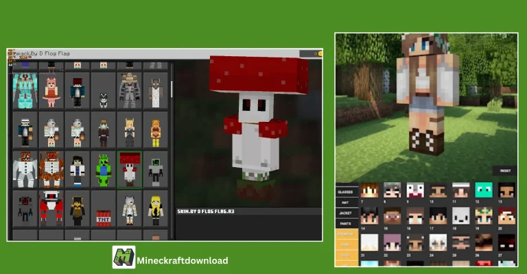 Custom Skin in minecraft java edition