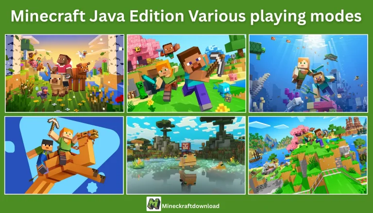 Minecraft Java Edition Various playing modes